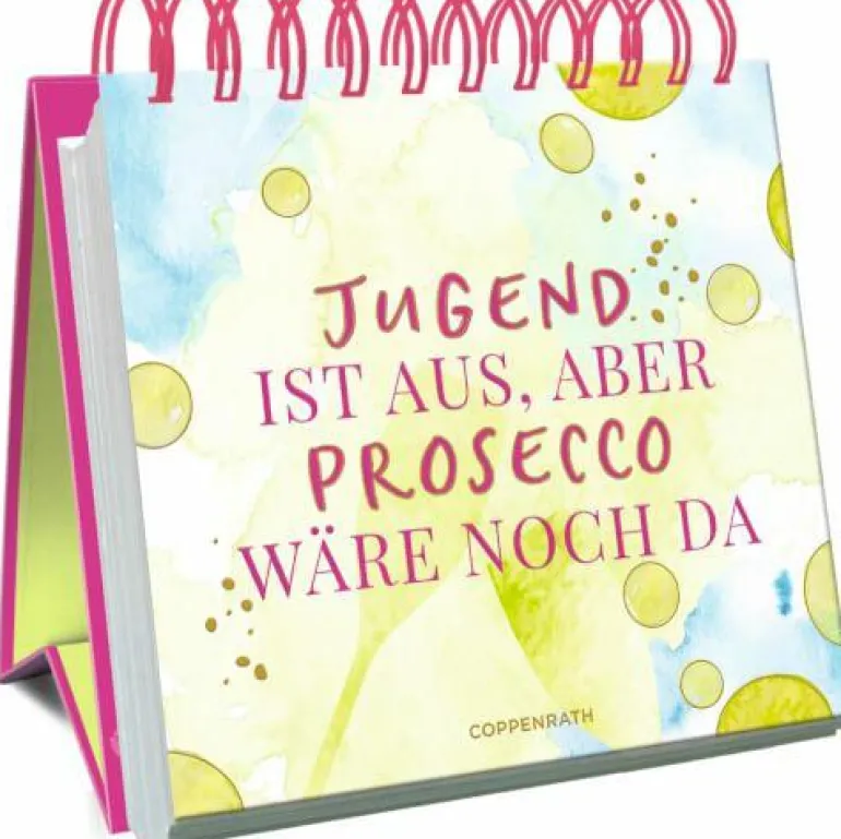 Gr. Spiralaufstellbuch: Jugend ist aus, aber Prose