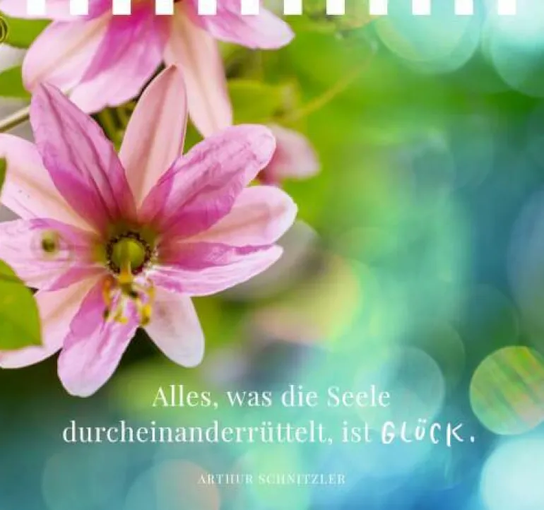 Gr. Spiralaufstellbuch: Jugend ist aus, aber Prose