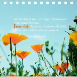 Gr. Spiralaufstellbuch Tag Für Tag Ein Grund Zum L