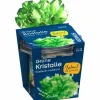 Grüne Kristalle züchten