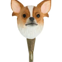 Haken Chihuahua