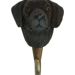 Haken Labrador Retriever