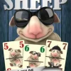 Happy Sheep