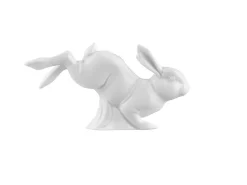 Hase 2016 Benjamin groß Weiss