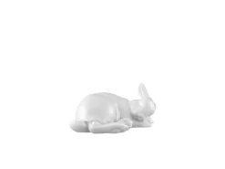 Hase 2020 Pauline Weiss