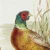 HUNTED PHEASANT Cream Streichholzschachtel MBL1012