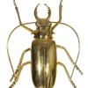Insekt gold 15cm