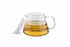 Kaffeekanne aus Borosilikgatglas 600ml