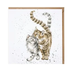 Karte Katzen