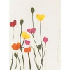 Karte mehrsprachig Mohnblumen „Alles Gute, Glückwü