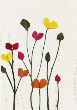 Karte mehrsprachig Mohnblumen „Alles Gute, Glückwü