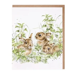 Karte Spring Hares