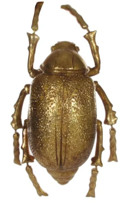 Käfer gold 25cm