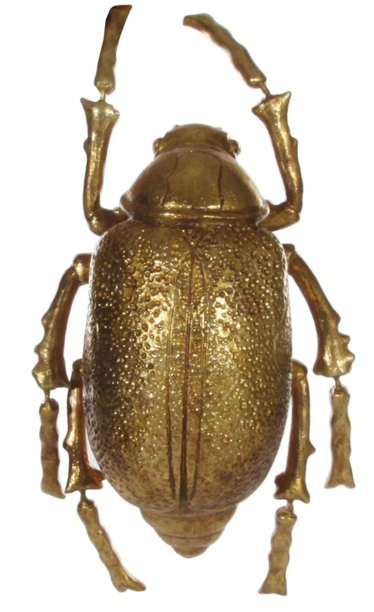 Käfer gold 25cm