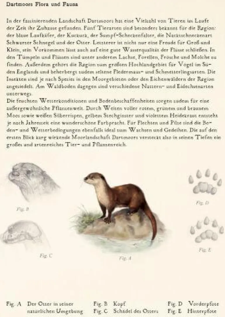 kleine Schmuckausgabe: S.Holmes (Bd.4) - Der Hund