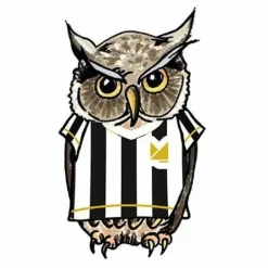 Kneipenquiz Fußball