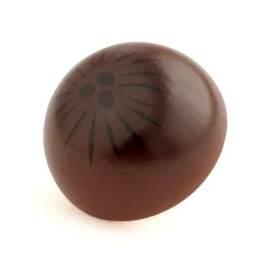 Kokosnuss halb