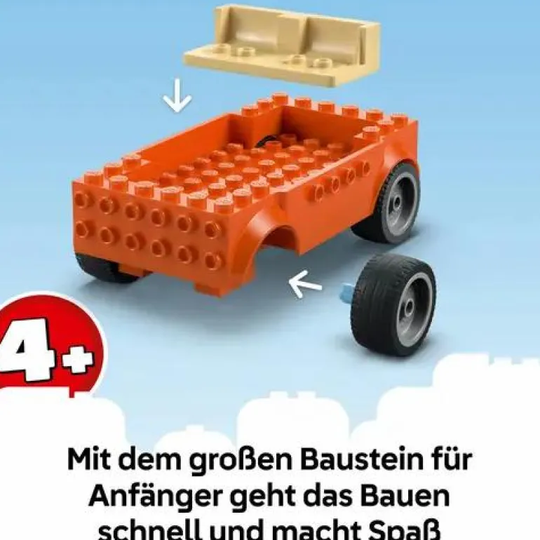 LEGO® Bluey Blueys Strandausflug 11202