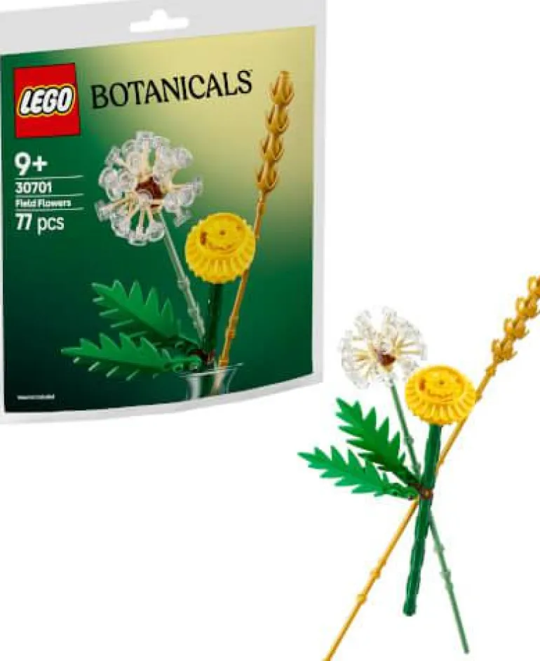 LEGO® Creator Feldblumen 30701