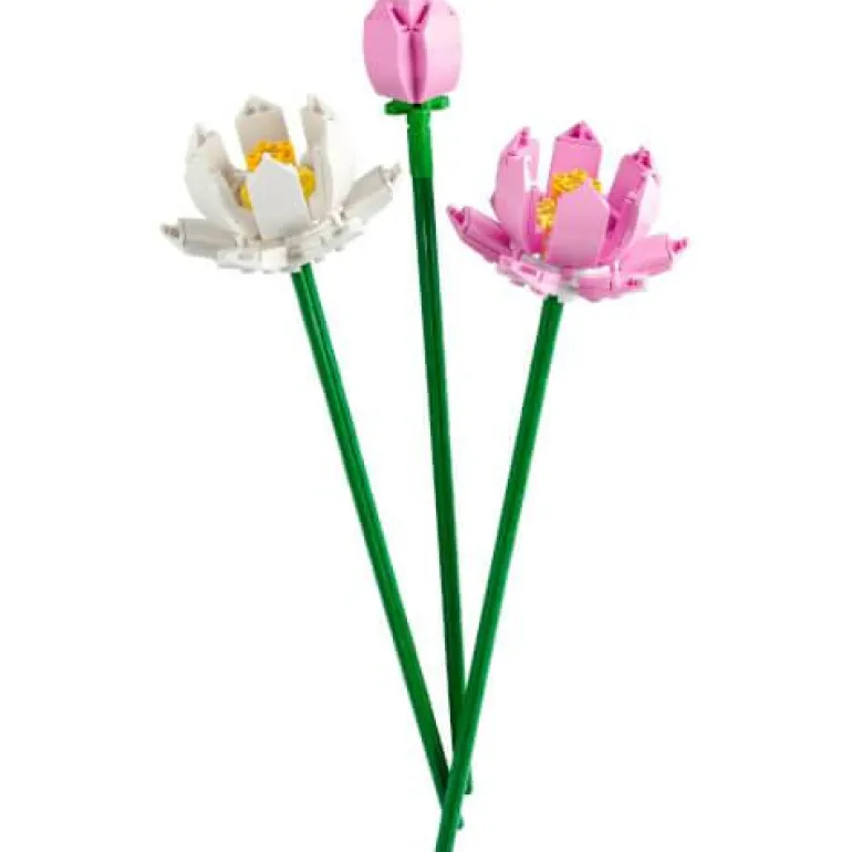 LEGO® Creator Lotusblumen 40647