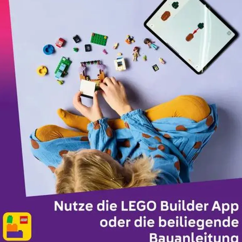 LEGO® Friends Filmabend Mit Freunden 42642