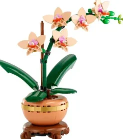 LEGO® Icons Mini-Orchidee 10343
