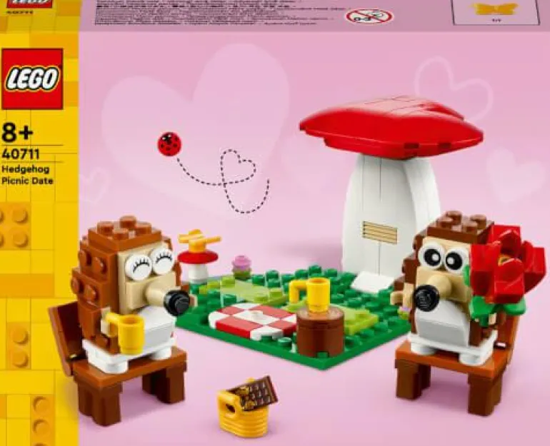 LEGO® Igel und ihr Picknick-Date 40711