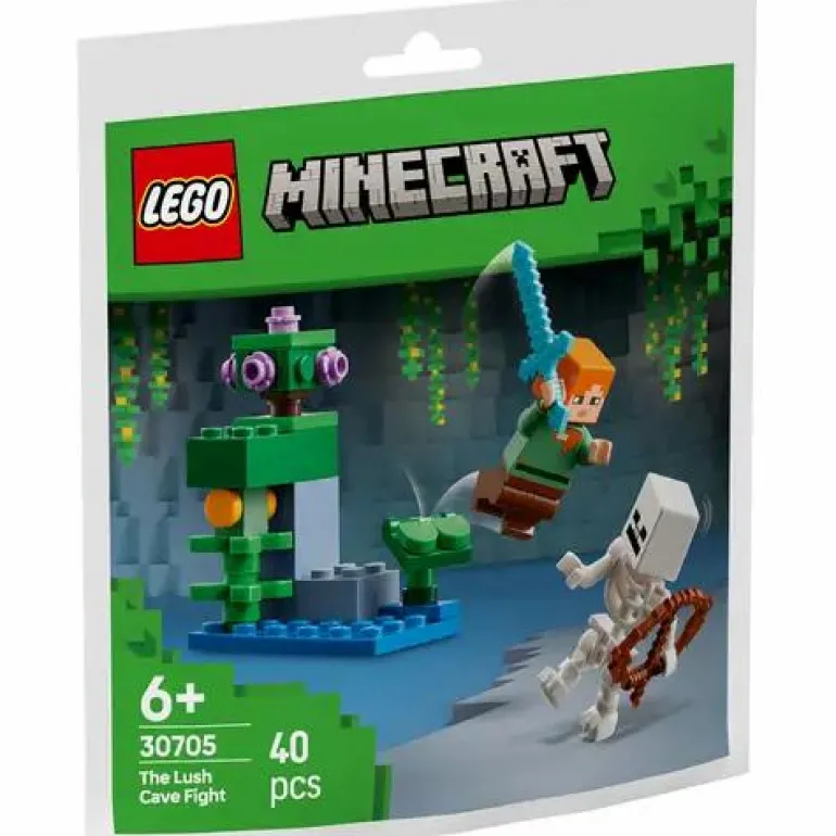 LEGO® Minecraft™ Showdown in der Üppigen Höhle 307