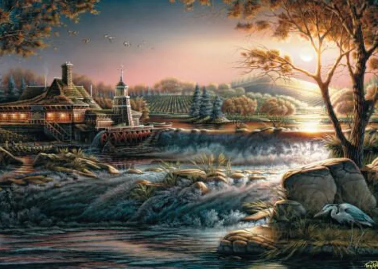 Lichter in der Wildnis - Puzzle 1000 Teile