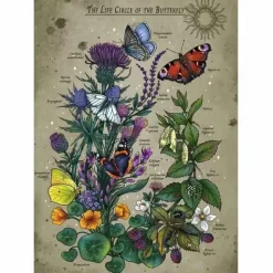 Lifecircle Butterfly - Puzzle 1000 Teile
