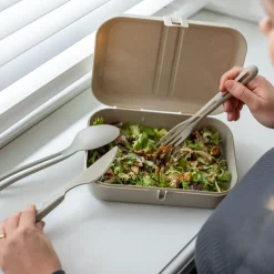 Lunchbox Pascal L green