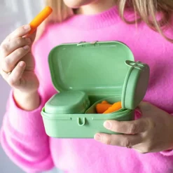 Lunchbox Pascal Ready mini green