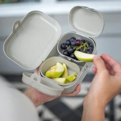 Lunchbox Pascal Ready mini green