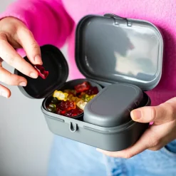 Lunchbox Pascal Ready mini grey
