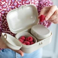 Lunchbox Pascal Ready mini sand