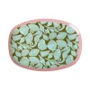 Melamine Rectangular Plate with Seashell Print- Sm