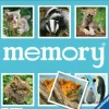 memory® Tierkinder