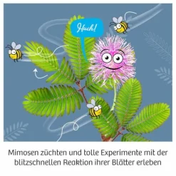 Mimosen-Garten - Alarm auf deiner Fensterbank