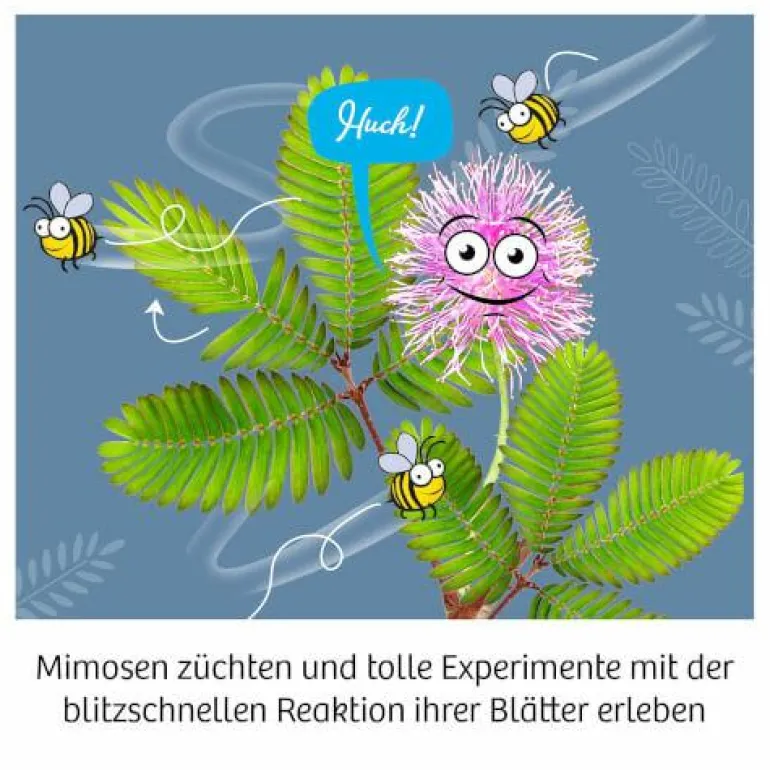 Mimosen-Garten - Alarm auf deiner Fensterbank