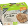 Mini-Ausgrabungssets - Expedition Natur