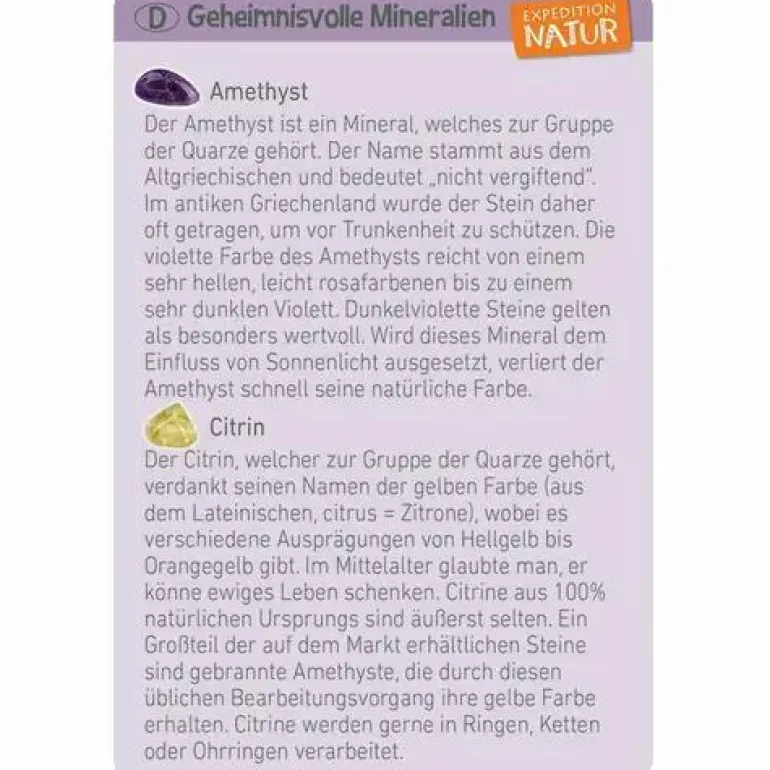 Mini-Ausgrabungssets - Expedition Natur
