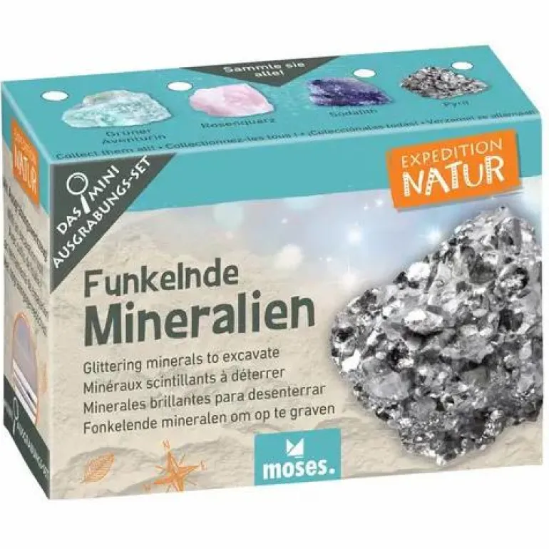Mini-Ausgrabungssets - Expedition Natur