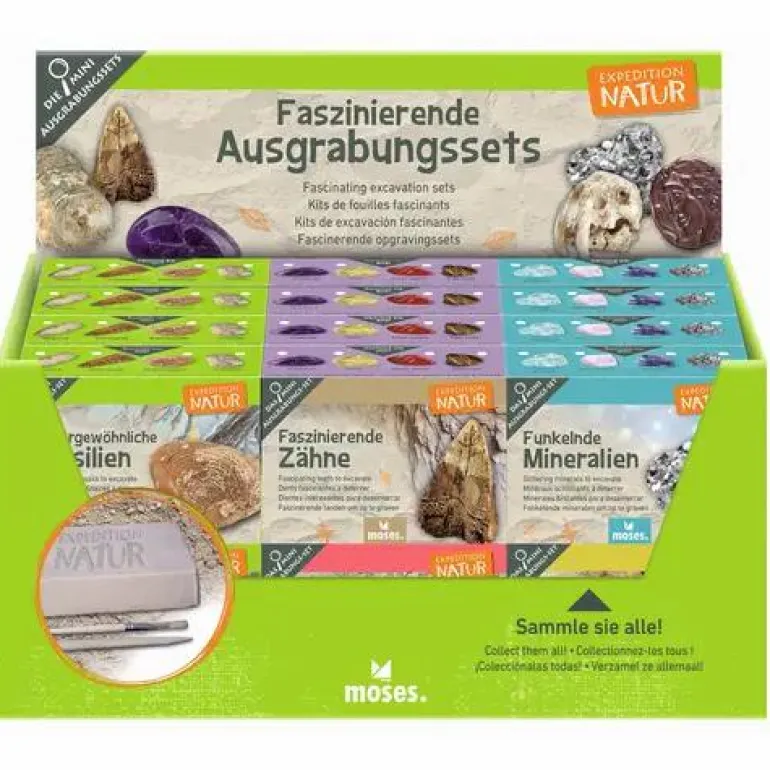 Mini-Ausgrabungssets - Expedition Natur