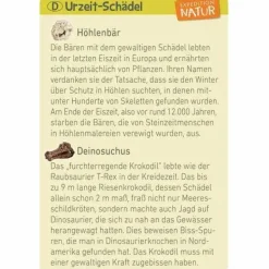 Mini-Ausgrabungssets - Expedition Natur