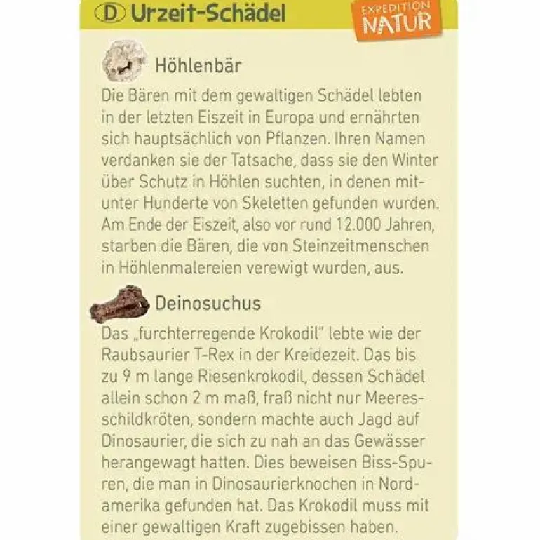 Mini-Ausgrabungssets - Expedition Natur