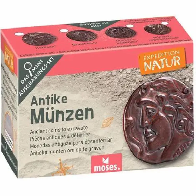 Mini-Ausgrabungssets - Expedition Natur