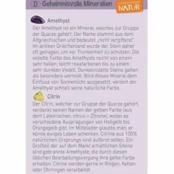 Mini-Ausgrabungssets - Expedition Natur