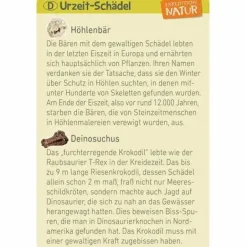 Mini-Ausgrabungssets - Expedition Natur