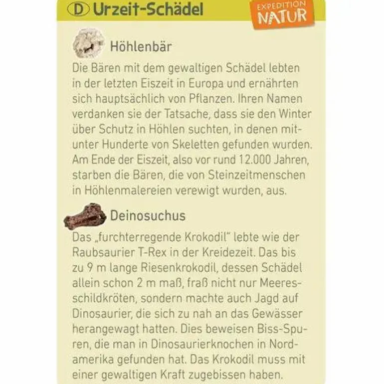 Mini-Ausgrabungssets - Expedition Natur