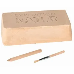 Mini-Ausgrabungssets - Expedition Natur